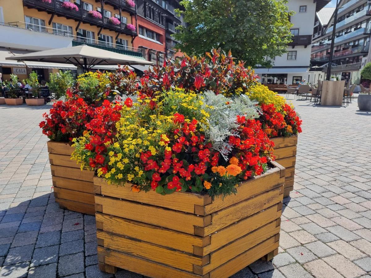 Wohlfuehl-Appartement Bergsee Family - Am Wildsee - Sup Und Schlitten For Free Seefeld w Tirolu Zewnętrze zdjęcie