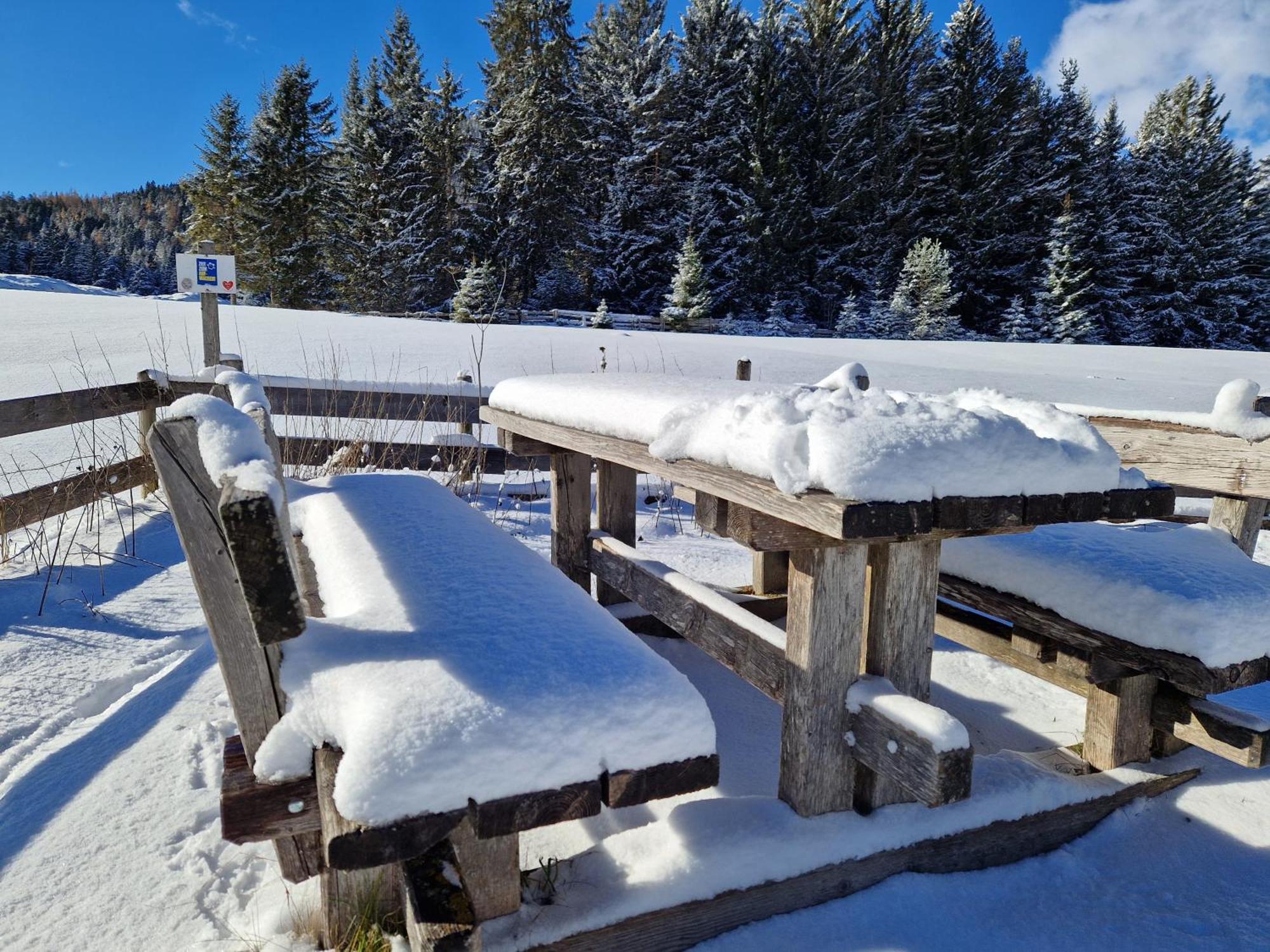 Wohlfuehl-Appartement Bergsee Family - Am Wildsee - Sup Und Schlitten For Free Seefeld w Tirolu Zewnętrze zdjęcie