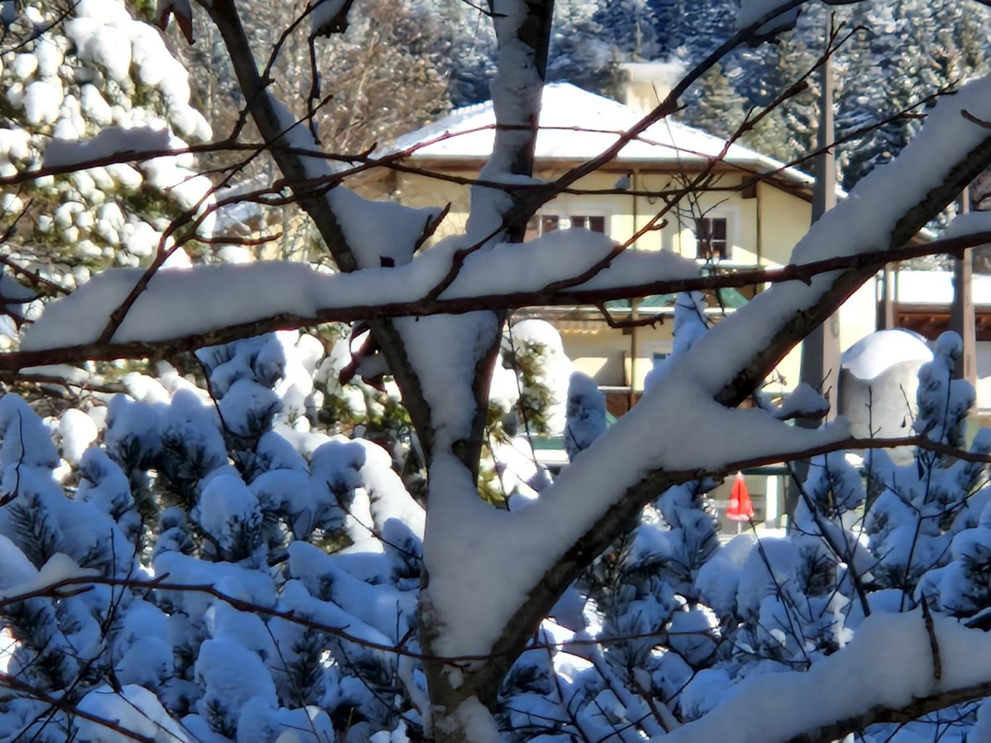 Wohlfuehl-Appartement Bergsee Family - Am Wildsee - Sup Und Schlitten For Free Seefeld w Tirolu Zewnętrze zdjęcie