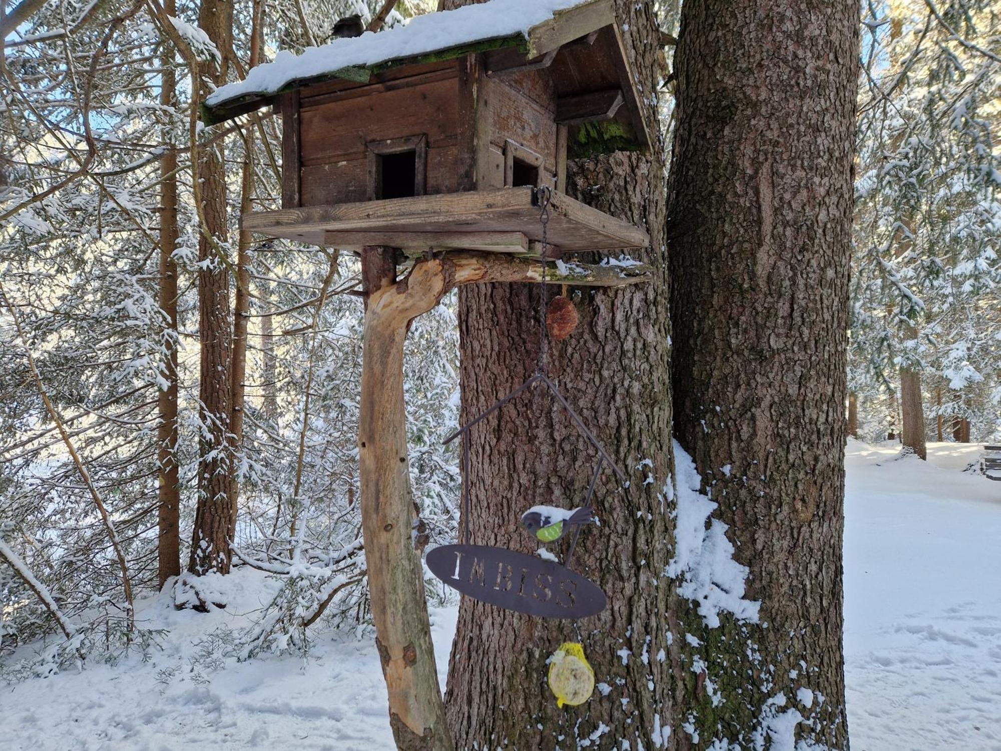 Wohlfuehl-Appartement Bergsee Family - Am Wildsee - Sup Und Schlitten For Free Seefeld w Tirolu Zewnętrze zdjęcie